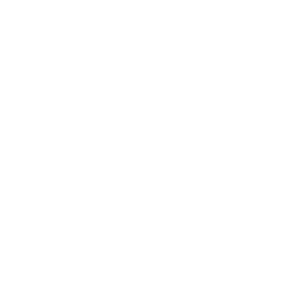 Logo 13