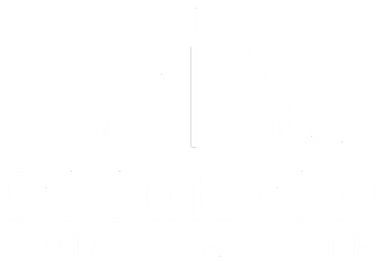 Logo 10